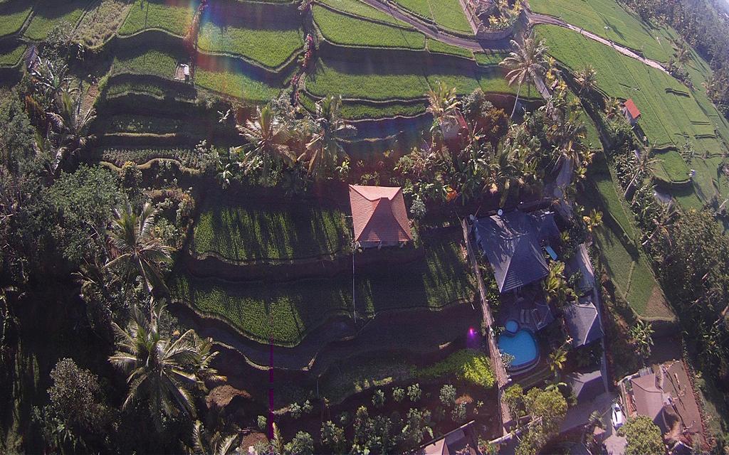 Pondok Sebatu Villa Tegallalang  Dış mekan fotoğraf